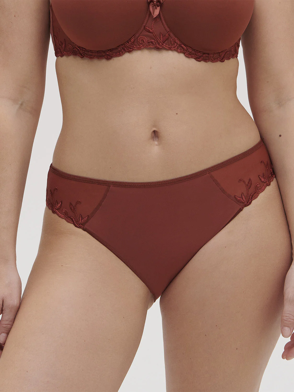 Cotton Bikini brief - Canyon Brown - Image 6