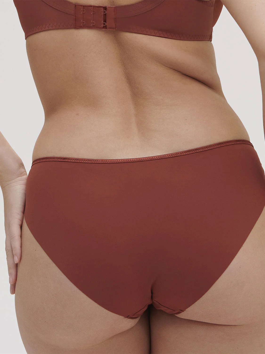 Cotton Bikini brief - Canyon Brown - Image 7